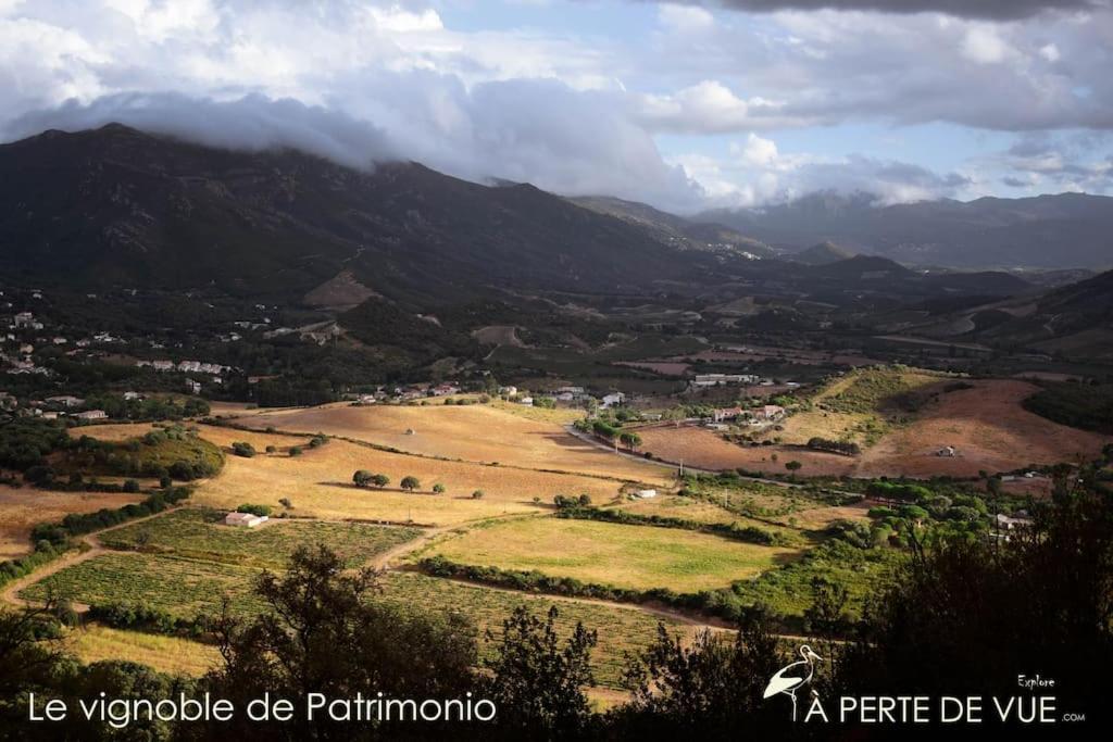 Studio Terremer Patrimonio Exterior photo